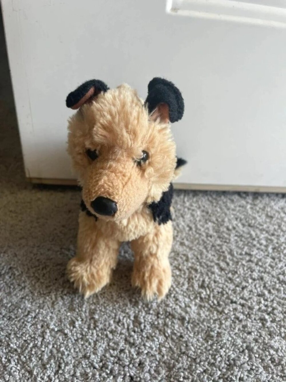 Douglas German Shepherd Puppy